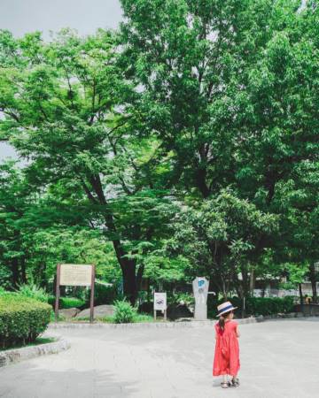 男宝宝取名