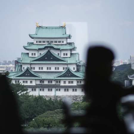 宝宝取名