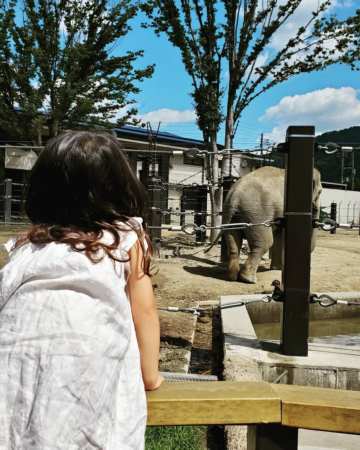 女孩起名