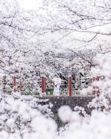 带芷的名字