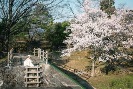 男孩起名