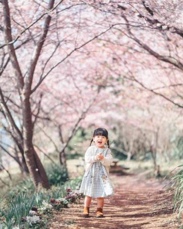 女孩起名