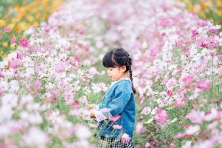 女孩取名
