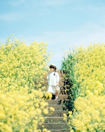 男孩取名