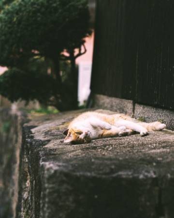 女孩起名