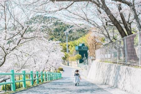 龙宝宝取名