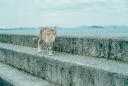 龙年取名