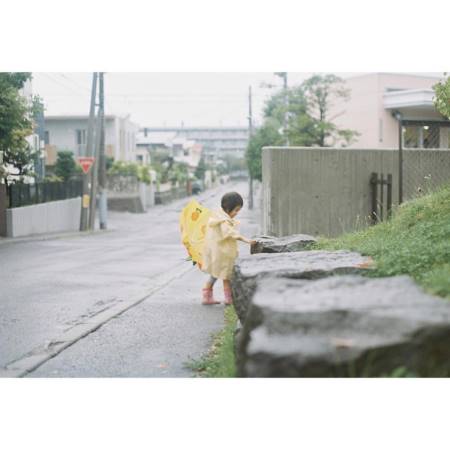 五行属土的名字
