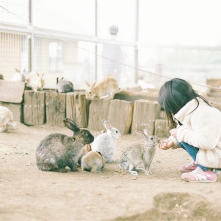 龙年宝宝起名